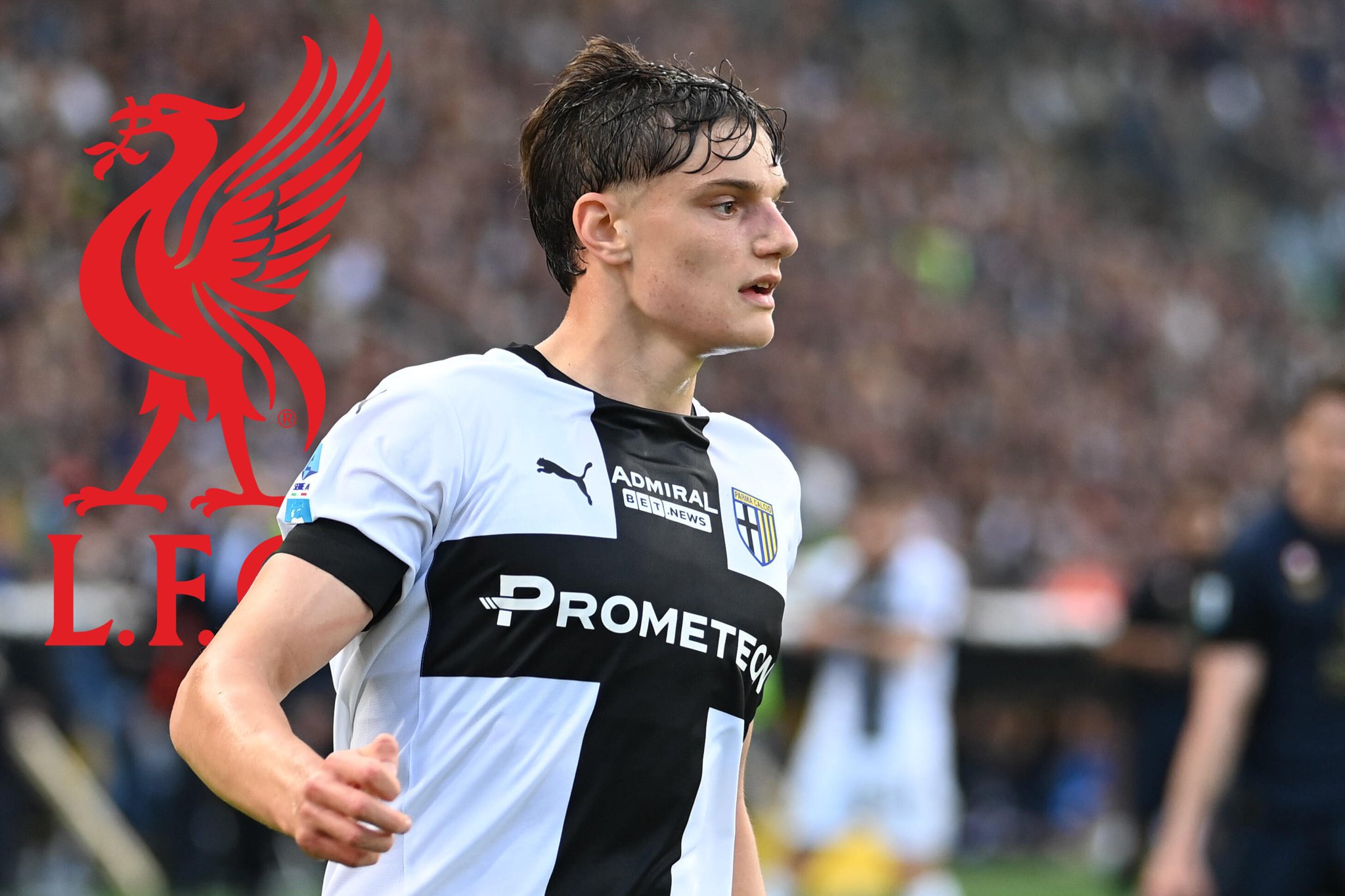 GyGAAS9WUAACXon.jfif